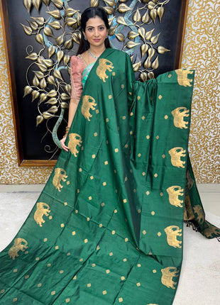 Mulberry Saree