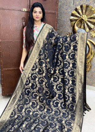 Pure Georgette Banarasi
