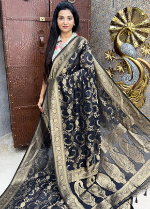 Pure Georgette Banarasi
