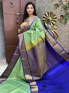Vaira Oosi Golden Zari