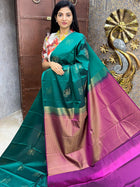 Premium Kanchi
