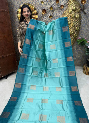 Semi kanchipuram Silk