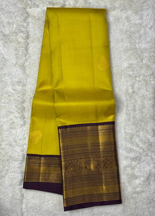 Handloom Kanchipuram Silk