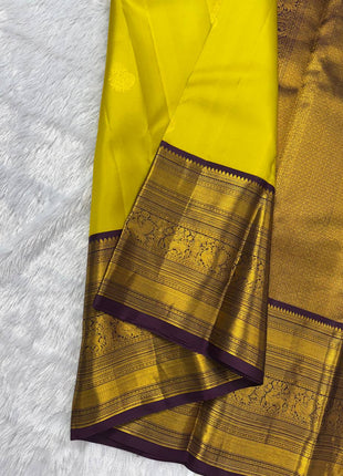 Handloom Kanchipuram Silk