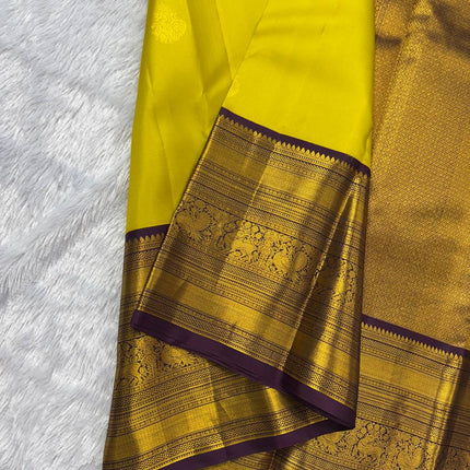 Handloom Kanchipuram Silk
