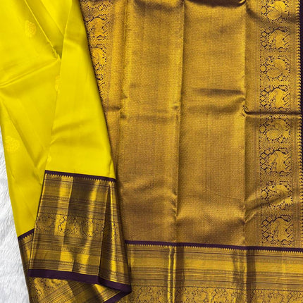 Handloom Kanchipuram Silk