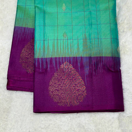 Handloom Kanchipuram Silk