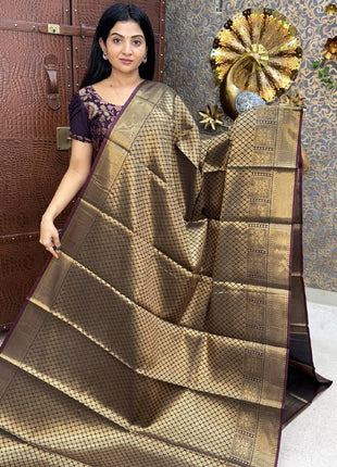 Banarasi Soft Silk