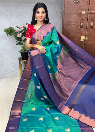 Premium Kanchi