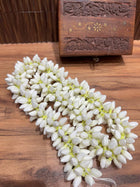 Real Look Handmade Foam Bloomed Jasmine Flower