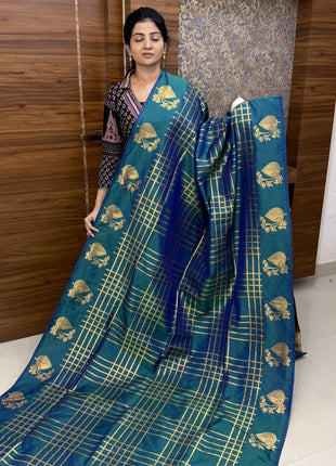 Border Less Kanchi Silk