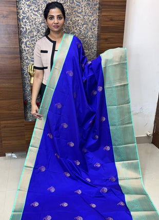 Premium Kanchi