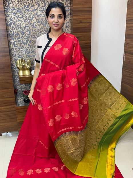 Border Less Kanchi Silk