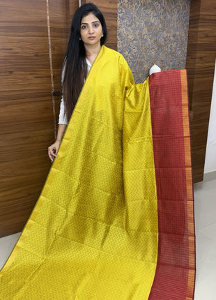 Semi Raw Silk