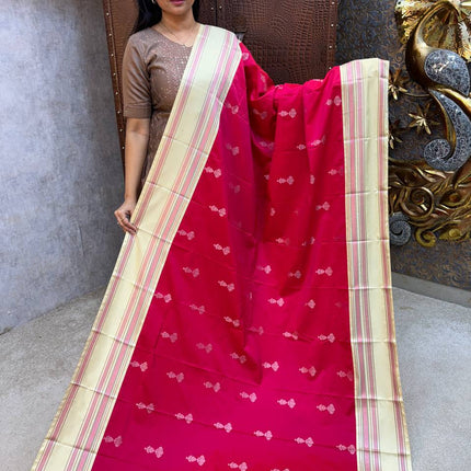 Kanchi Silk Retta Patta