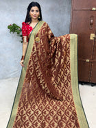 Pure Georgette Banarasi