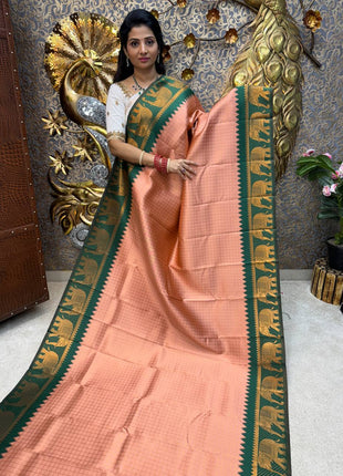 Semi kanchipuram Silk