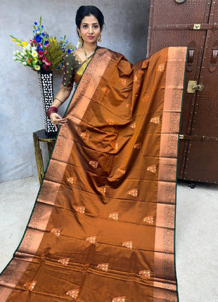 Premium Kanchi