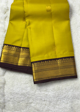Handloom Kanchipuram Silk
