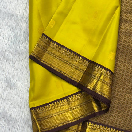 Handloom Kanchipuram Silk