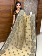 Chanderi Cotton