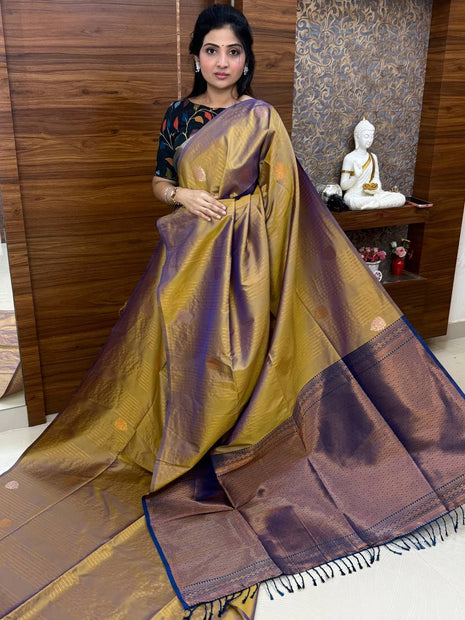 Border Less Kanchi Silk