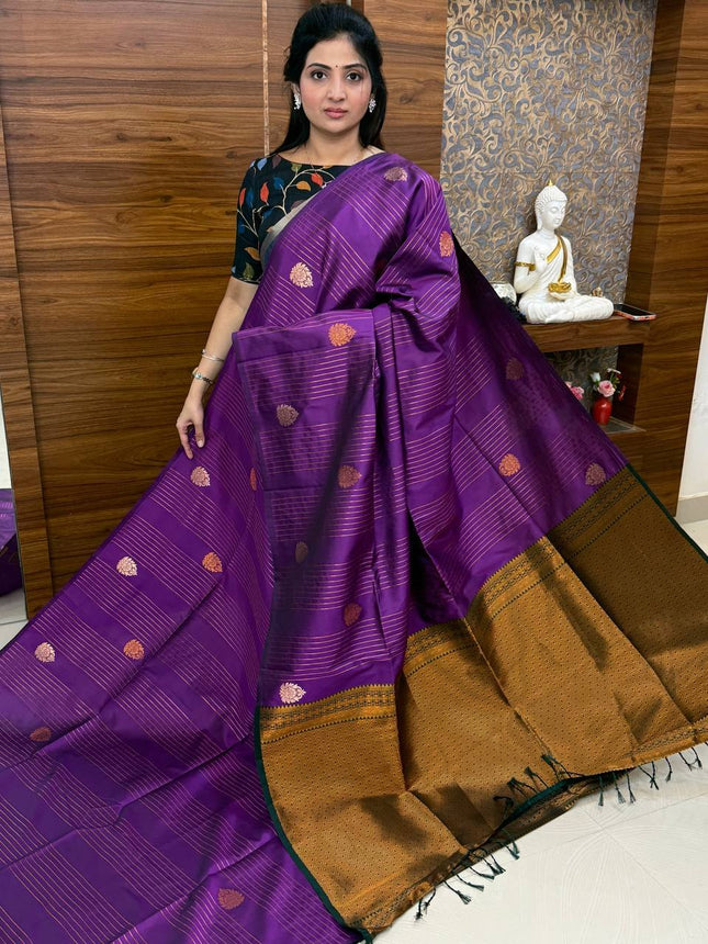 Border Less Kanchi Silk