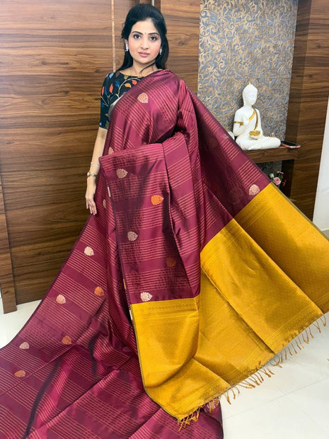 Border Less Kanchi Silk