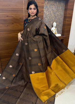 Border Less Kanchi Silk