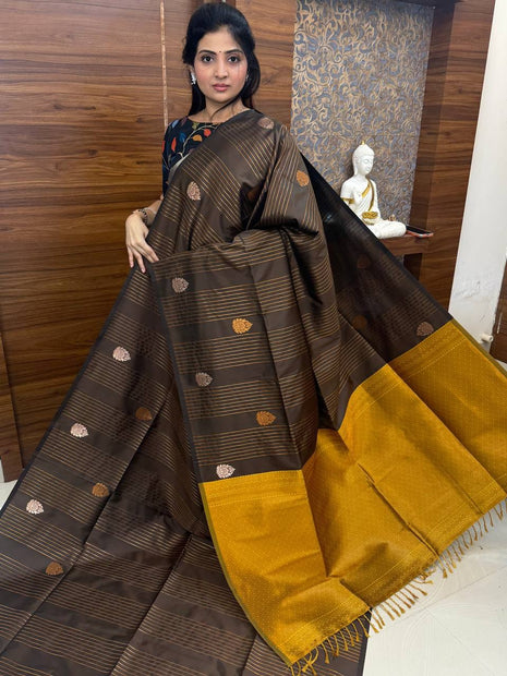 Border Less Kanchi Silk
