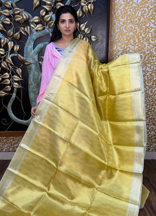 Tissue Silk