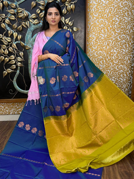 Border Less Kanchi Silk