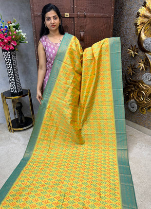 Pure Ikkat Pochampally
