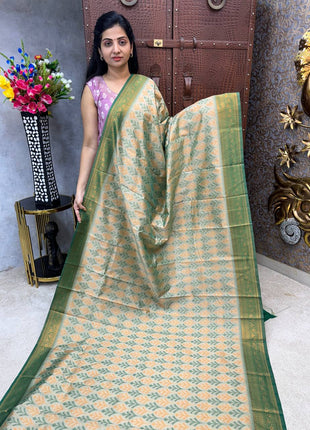 Pure Ikkat Pochampally