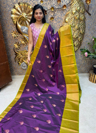 Premium Kanchi