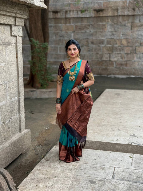 Premium Kanchi Coffee Brown Border