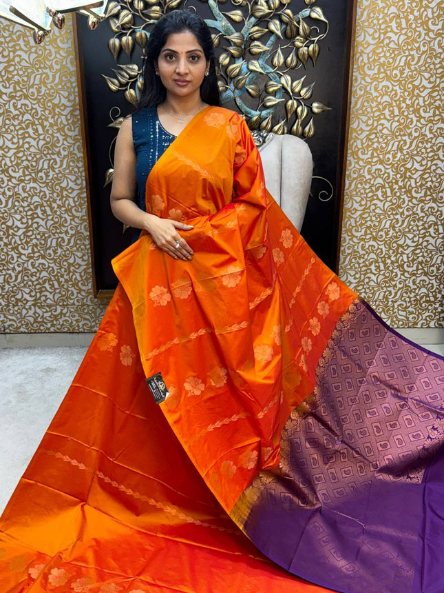 Border Less Kanchi Silk