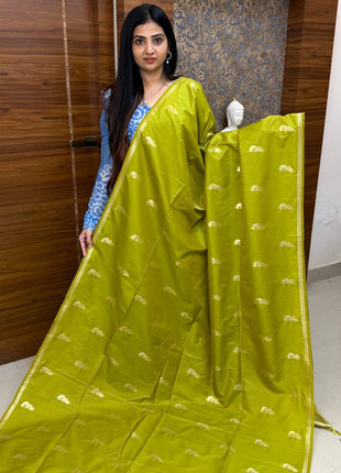 Border Less Kanchi Silk