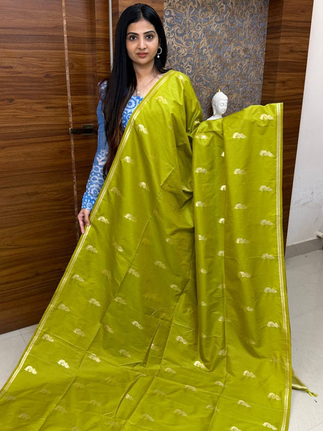 Border Less Kanchi Silk