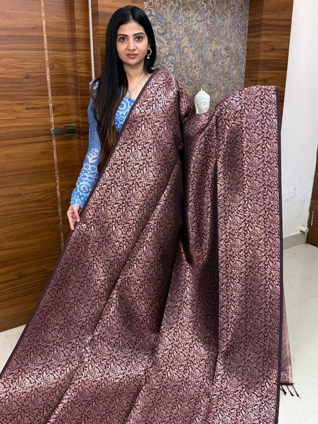 Border Less Kanchi Silk