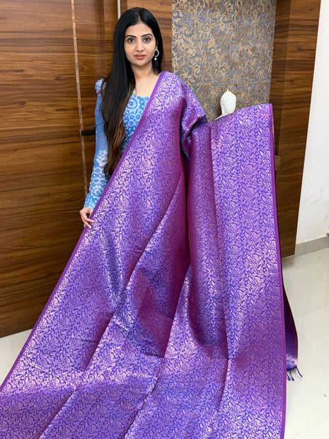 Border Less Kanchi Silk