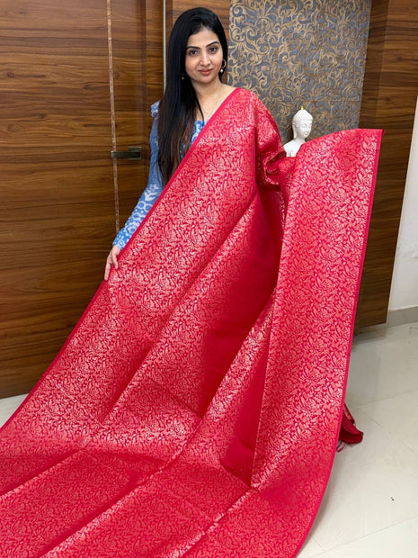 Border Less Kanchi Silk