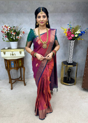 Premium Kanchi