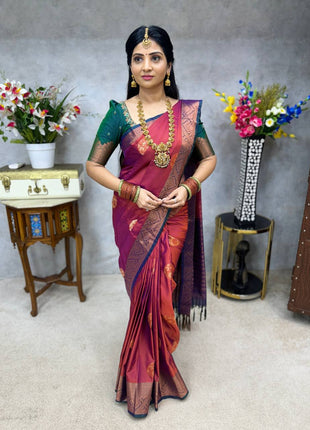 Premium Kanchi