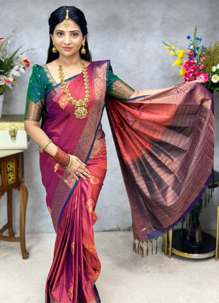 Premium Kanchi