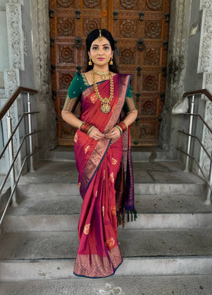 Premium Kanchi