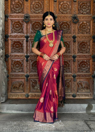 Premium Kanchi