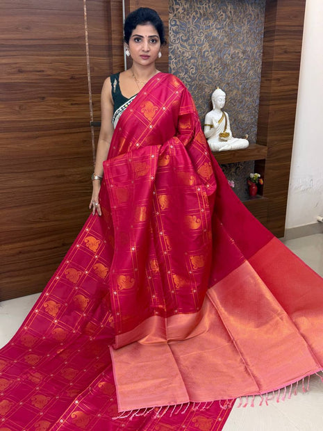Border Less Kanchi Silk