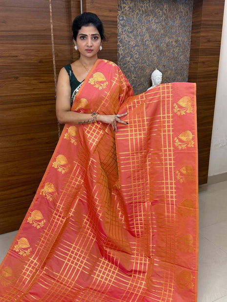 Border Less Kanchi Silk