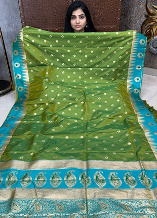 Pashmina